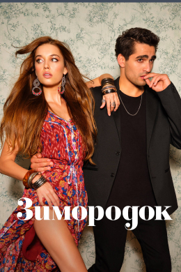 Зимородок